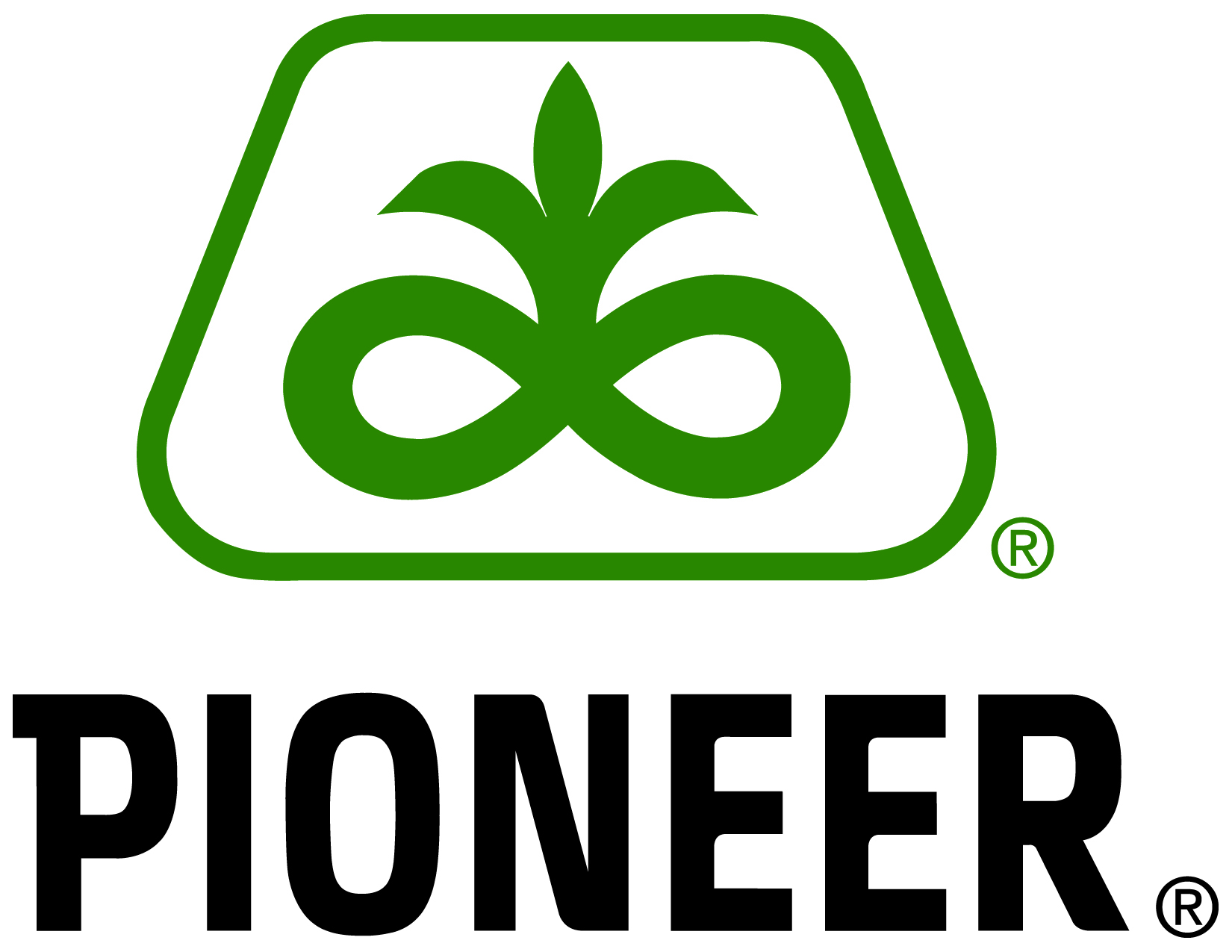 Pioneer Logo