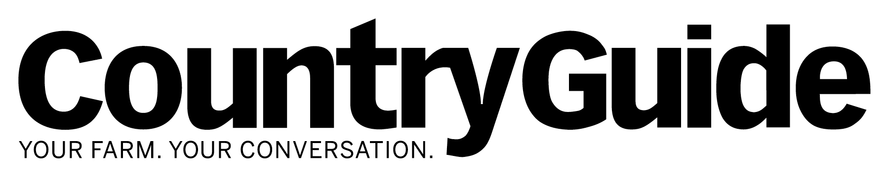 Country Guide Logo
