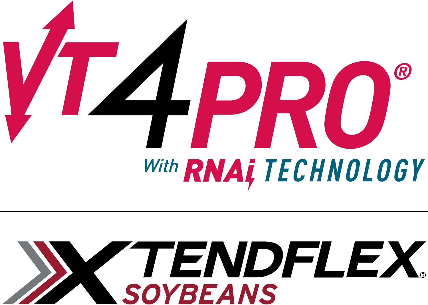 XTENDFLEX Logo